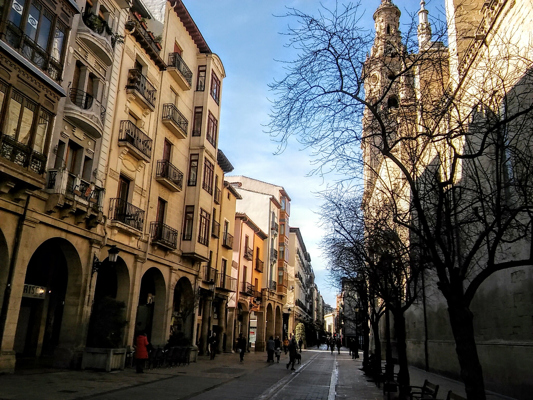FLOREANDO en Logroño