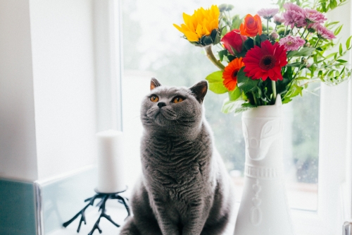 5 ideas para decorar con flores