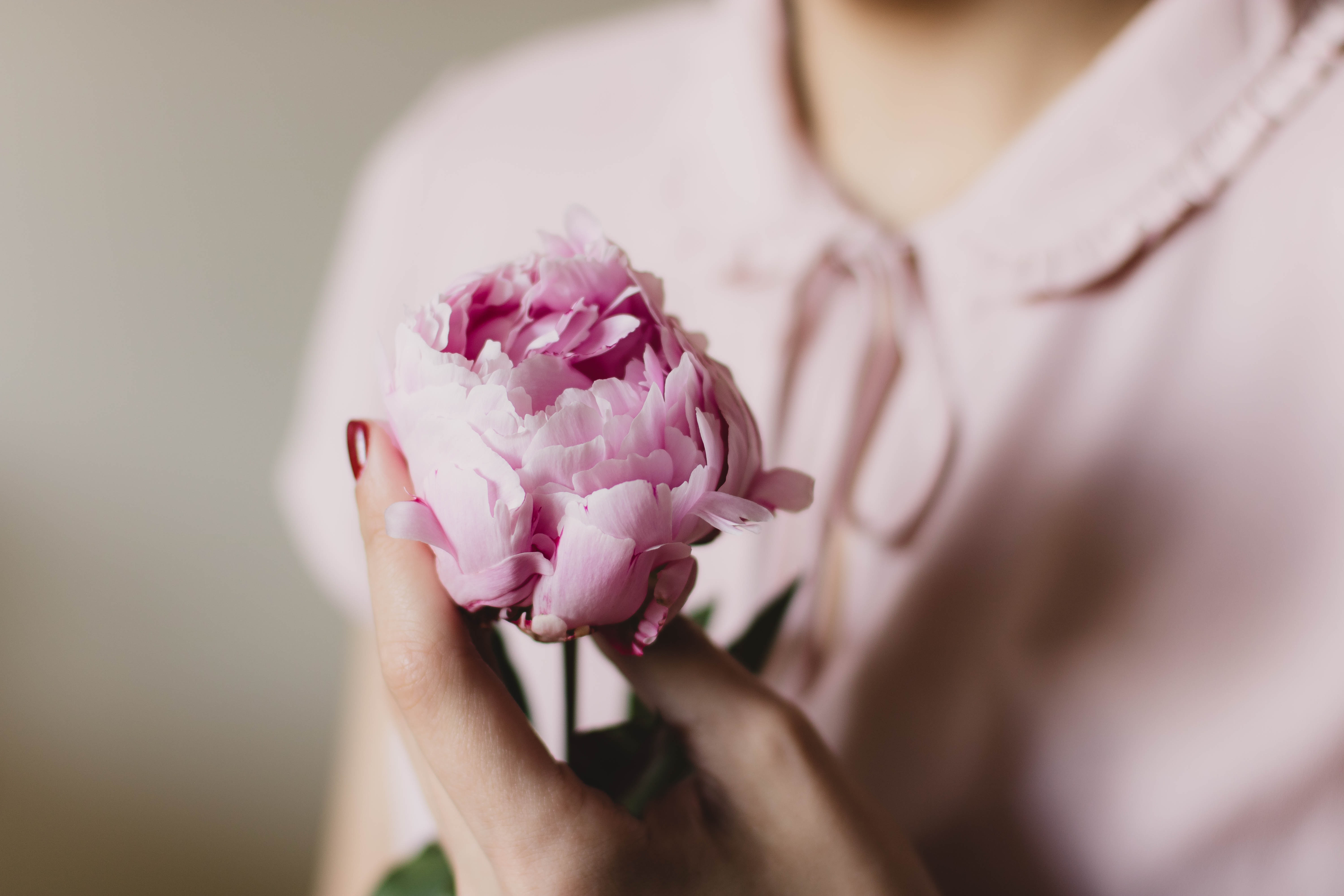 7 beneficios de tener plantas en casa