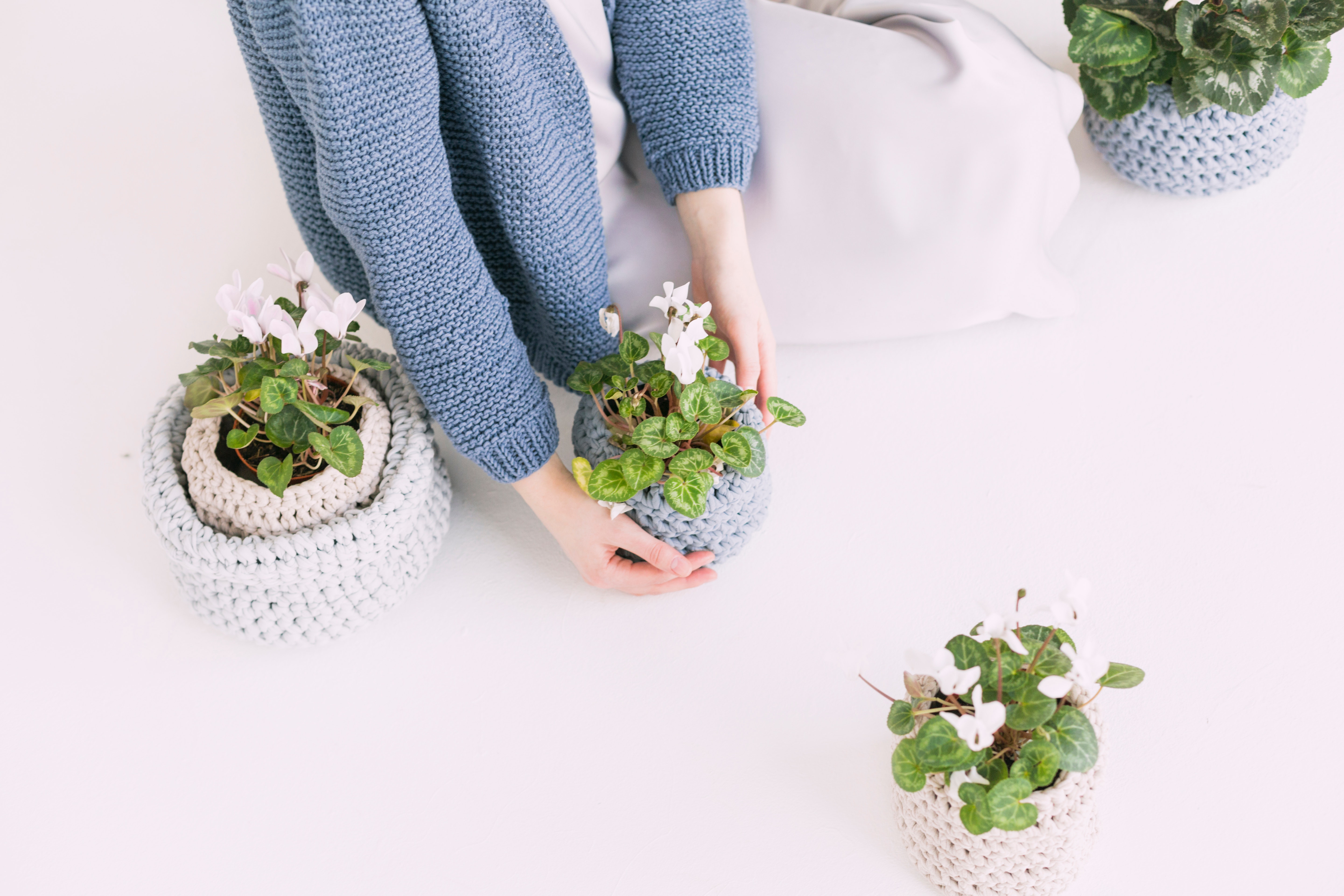 Estas son las plantas y flores que más tardan en marchitarse