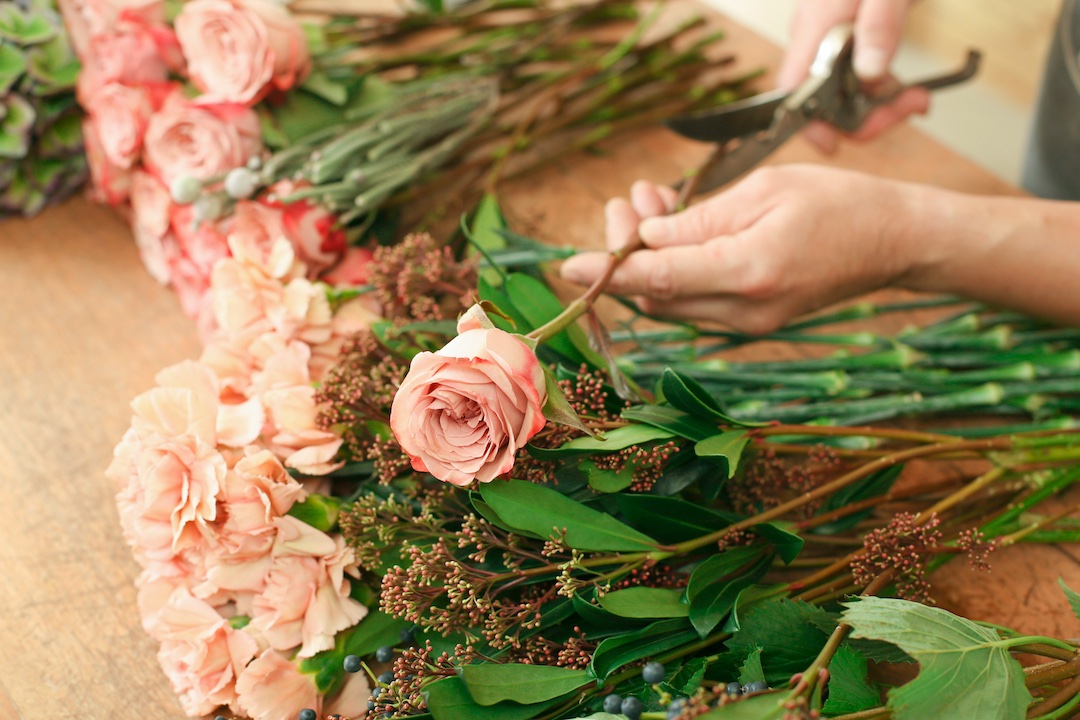 Mitos sobre el cuidado de las flores