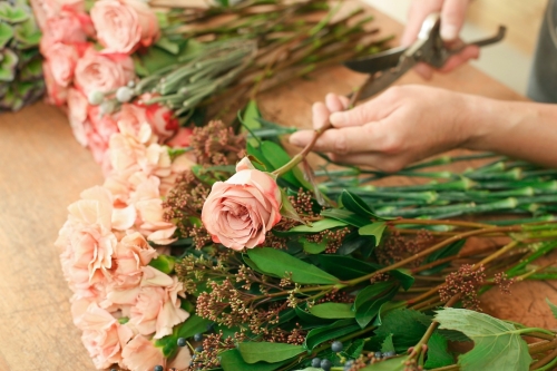 Mitos sobre el cuidado de las flores