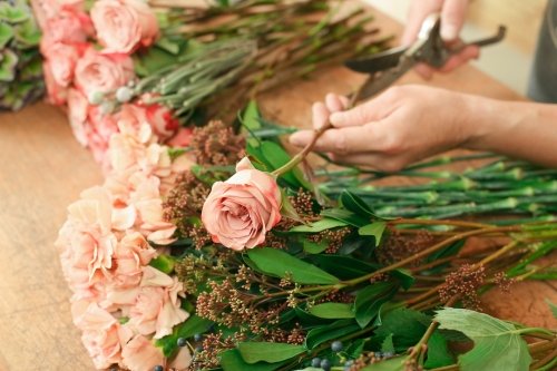 Mitos sobre el cuidado de las flores