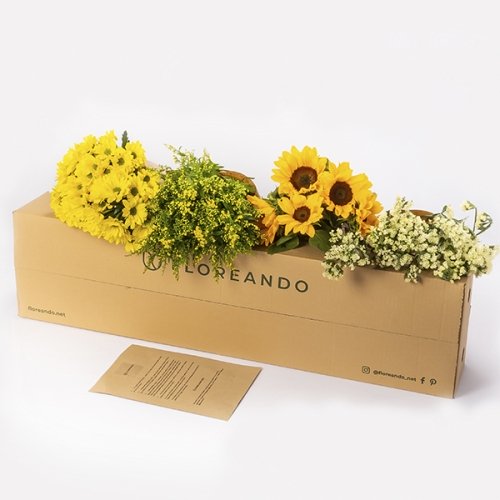 Caja - Amarilla