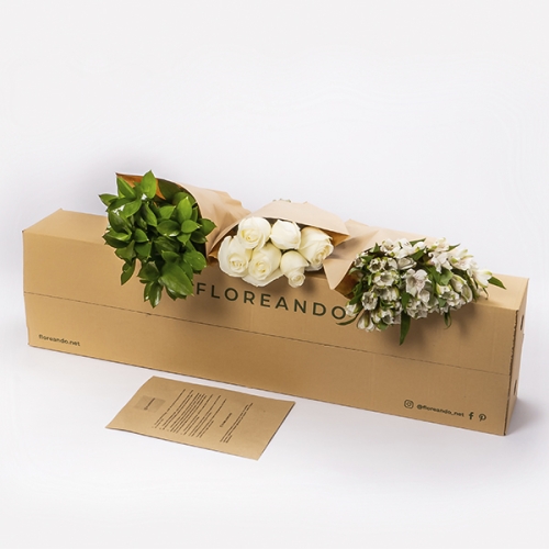 Caja Blanca