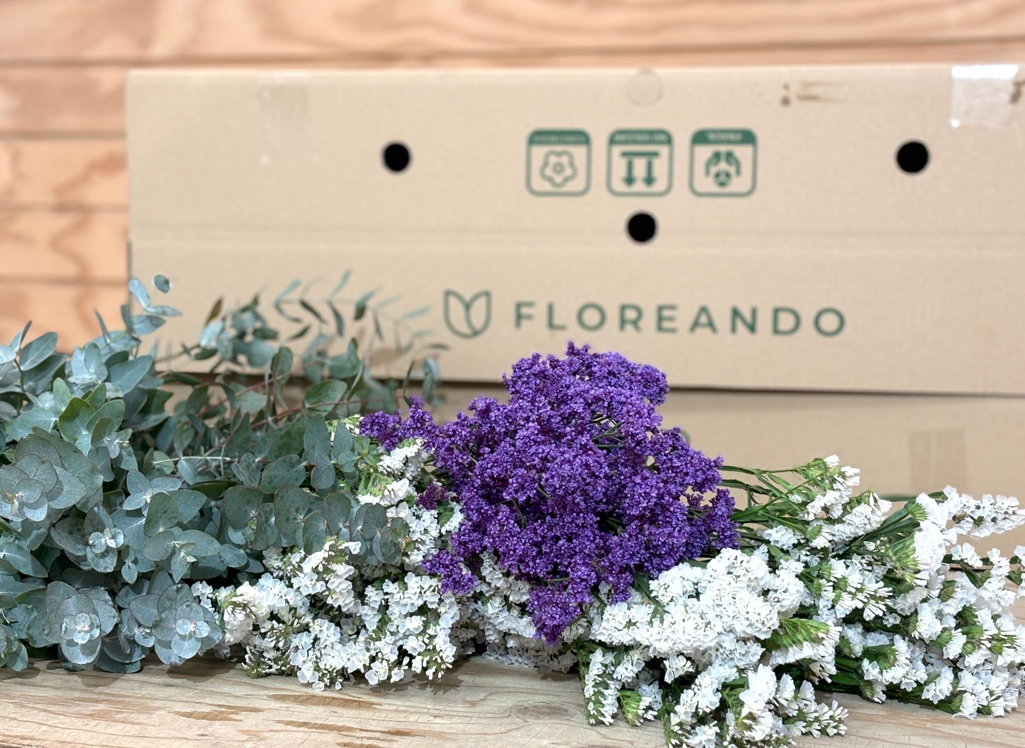Caja ETERNA