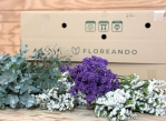 Miniatura de Caja ETERNA