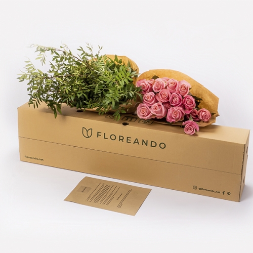Caja - Esperanza