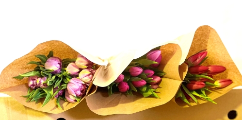 Caja - Tulipanes Variados