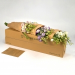 Miniatura de Caja - Lisianthus surtidos