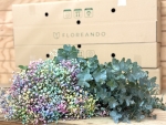 Miniatura de Caja RAINBOW