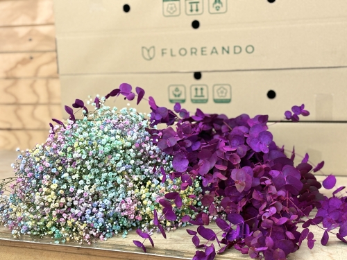 Caja Rainbow Purple