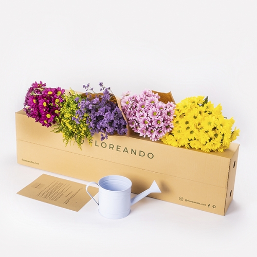 Caja - Regando colores
