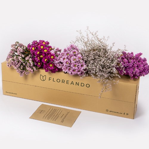 Caja - Rosa