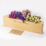 Miniatura de Caja - Siemprevivas
