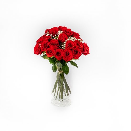 Oferta - 24 rosas