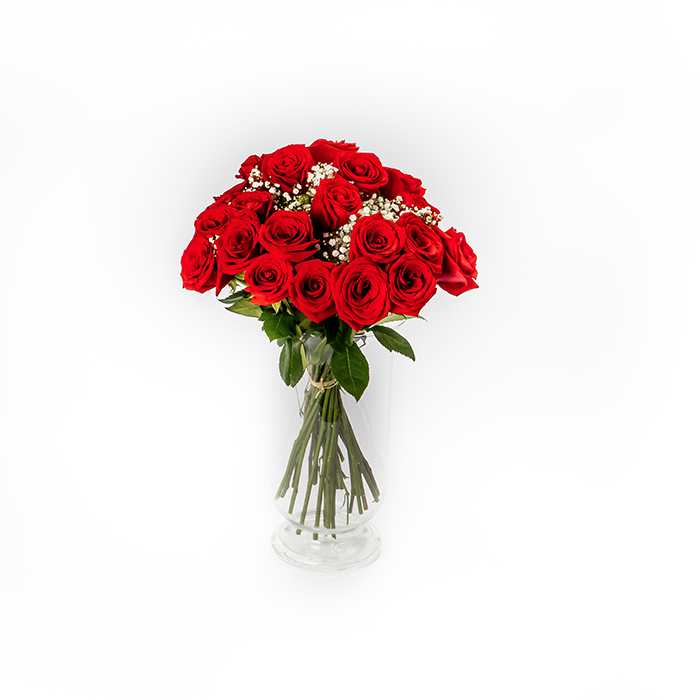 Oferta - 24 rosas