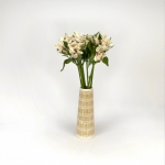 Miniatura de Alstroemeria blanca (10 tallos)