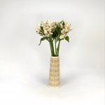 Miniatura de Alstroemeria blanca (10 tallos)