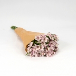 Miniatura de Alstroemeria rosa (10 tallos)