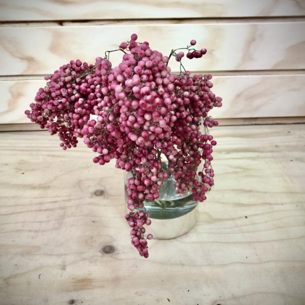 Bouquet Semillas Pimienta