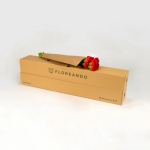 Miniatura de Clavel Colombiano rojo (25 tallos)