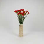 Miniatura de Clavel Colombiano rojo (25 tallos)