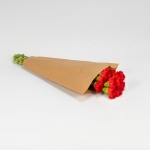 Miniatura de Clavel Colombiano rojo (25 tallos)
