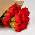 Miniatura de Clavel Colombiano rojo (25 tallos)