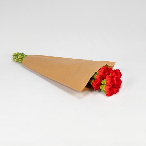 Clavel Colombiano rojo (25 tallos)