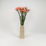 Miniatura de Clavel Colombiano rosa (25 tallos)