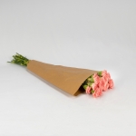 Miniatura de Clavel Colombiano rosa (25 tallos)