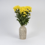 Miniatura de Crisantemo Amarillo (5 tallos)