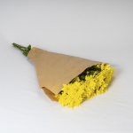 Miniatura de Crisantemo Amarillo (5 tallos)