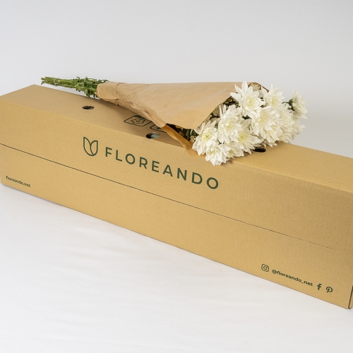 Crisantemo Blanco (5 tallos)