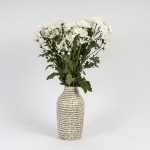 Miniatura de Crisantemo Blanco (5 tallos)