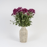 Miniatura de Crisantemo Fucsia (5 tallos)