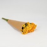 Miniatura de Margarita amarilla (5 tallos)