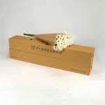Miniatura de Crisantemo - Margarita blanca (5 tallos)
