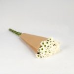 Miniatura de Margarita blanca (5 tallos)