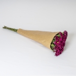 Miniatura de Margarita fucsia (5 tallos)