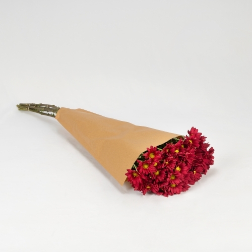 Margarita roja (5 tallos)
