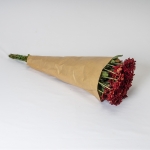 Miniatura de Crisantemo Rojo (5 tallos)