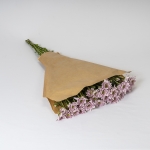 Miniatura de Crisantemo Rosa (5 tallos)