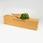 Miniatura de Crisantemo verde (5 tallos)