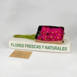 Miniatura de Gerbera fucsia (25 tallos)