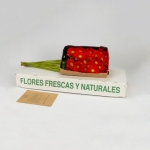Miniatura de Gerbera roja (25 tallos)