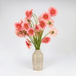 Miniatura de Gerbera rosa (25 tallos)