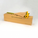 Miniatura de Girasol (5 tallos)