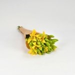 Miniatura de Lilium amarilla (10 tallos)